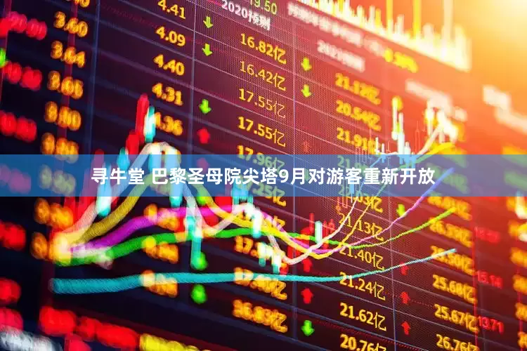 寻牛堂 巴黎圣母院尖塔9月对游客重新开放