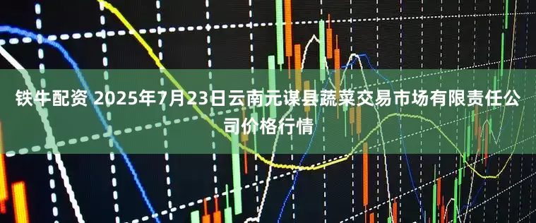 铁牛配资 2025年7月23日云南元谋县蔬菜交易市场有限责任公司价格行情