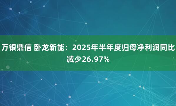 万银鼎信 卧龙新能：2025年半年度归母净利润同比减少26.97%