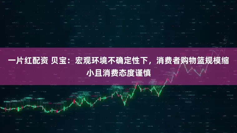 一片红配资 贝宝:宏观环境不确定性下,消费者购物篮规模缩小且消费态度谨慎
